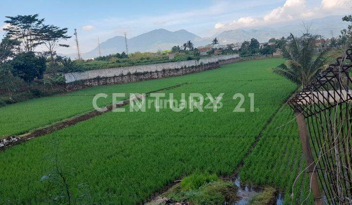 Tanah Luas Bisa Buat Industri Di Rancaekek 2