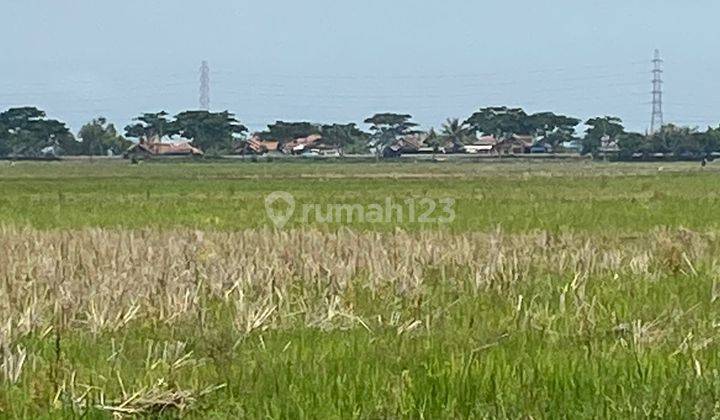 Tanah Murah Di Kawasan Pelabuhan Internasio Patimban Subang Jabar 2