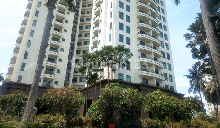 Kondominium Graha Family Surabaya Barat 3br Murah Kondominium Graha Family Surabaya Barat 3br Murah