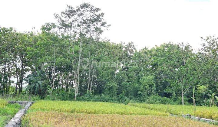 Tanah Kavling Murah Sekitar Uii Tanah Kavling Murah Sleman 2