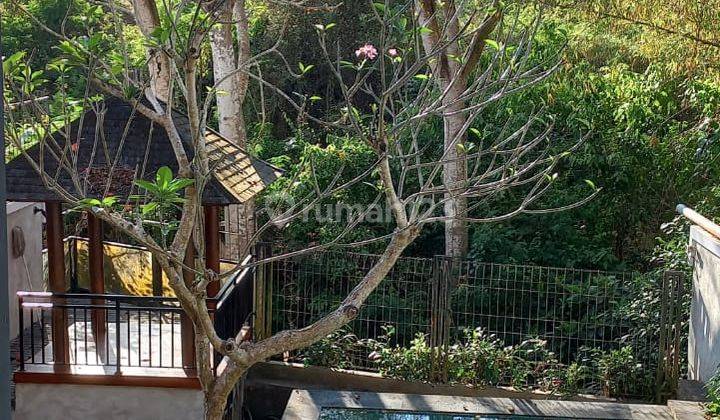 Villa Cantik Dijual Nusa Dua Bali View Laut Dan Jungle 1