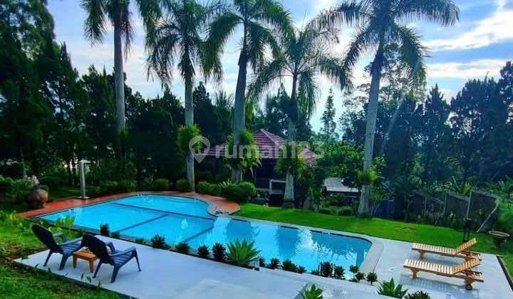 Villa Bagus Asri Dan Sejuk Di Puncak Citeko Dekat Taman Safari  2