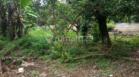 Commercial Land Area 225 m² price Rp4.5 million per square meter