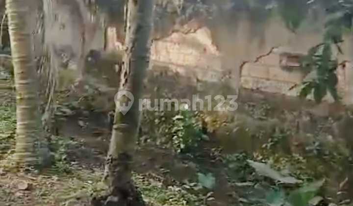 Dijul Cepat Tanah Strategis di Leuwiliang Bogor Dijul Cepat Tanah Strategis di Leuwiliang Bogor