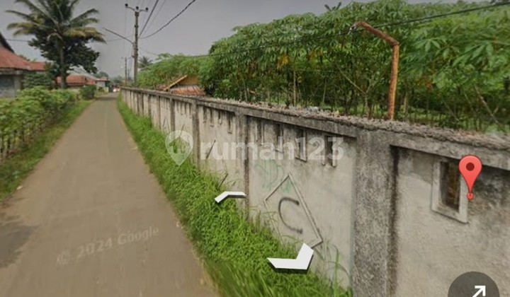 Sale of active agricultural land at 400,000/meter in Cimanggu, Bogor Regency.