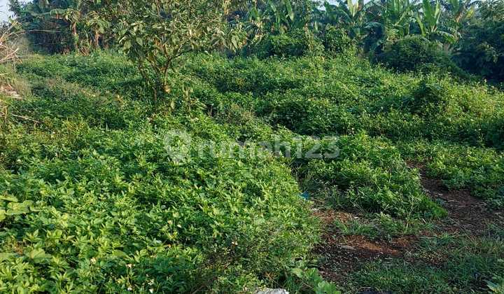 Di Jual Cepat Tanah Siap Bangun di Legok Di Jual Cepat Tanah Siap Bangun di Legok