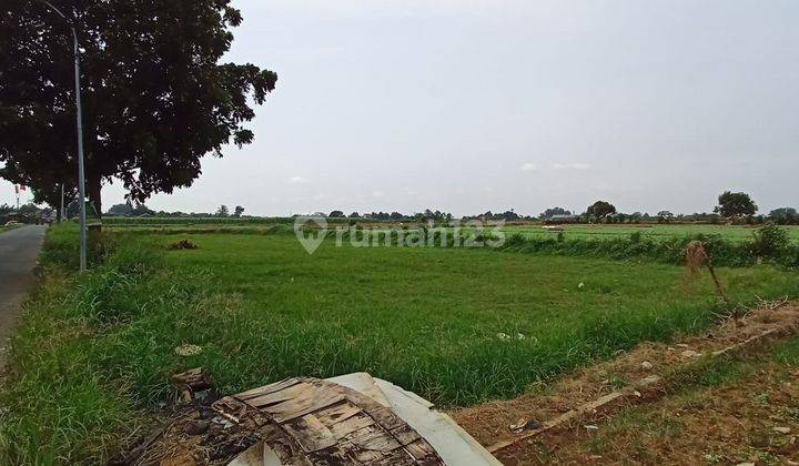 Di Jual Cepat Tanah Di Kabupaten Bogor 2