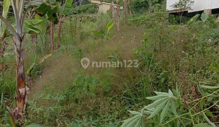 Di Jual Cepat Tanah Daerah Cikeretg Bogor 2