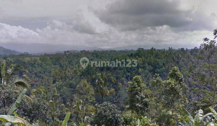 For Sale Quick Land Ready to Build Housing Gianyar 2