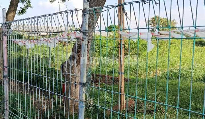 Di Jual Cepat Tanah Strategis Dekat Bandara di Bawah NJOP