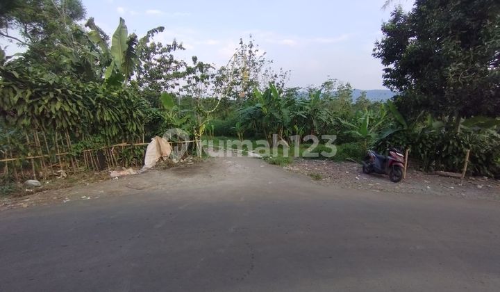 For Sale Quickly, Land Suitable for Restaurants, Villas, and Hotels in Nagrak Sukabumi. For Sale Quickly, Land Suitable for Restaurants, Villas, and Hotels in Nagrak Sukabumi.