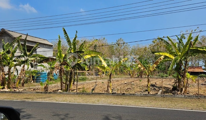 Di Jual Cepat Tanah Industri Strategis Brondong Sedayu Jawa Timur