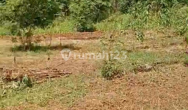 Di Jual Cepat Tanah Padat Cocok untuk Gudang dan Pabrik di Sepatan