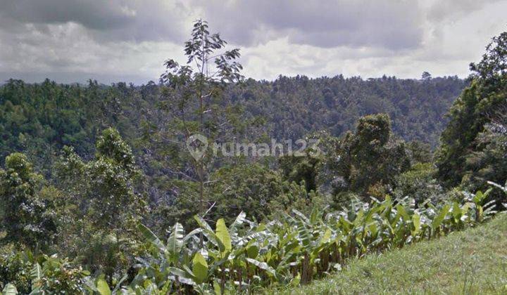 For Sale Quick Land Ready to Build Housing Gianyar 1