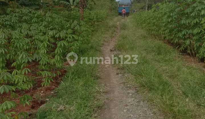 Di Jual Tanah 20 Ha Cocok Untuk Tempat Wisata Dan Green House Cibadak Sukabumi Di Jual Tanah 20 Ha Cocok Untuk Tempat Wisata Dan Green House Cibadak Sukabumi