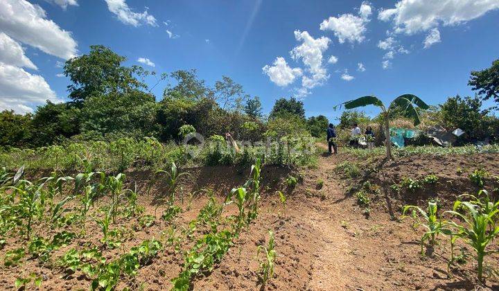 Di Jual Cepat Tanah Komersil Cocok Untuk Bangun Perumahan 2