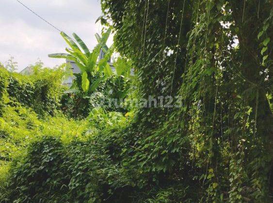 Land on Jalan Bumbak Umalas 450 m² SHM 2