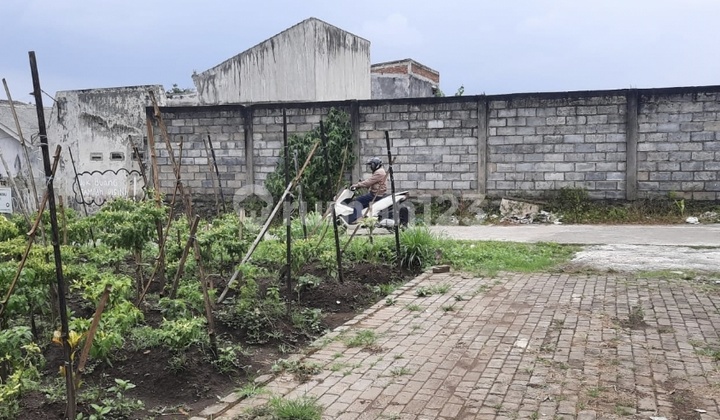 Tanah Murah Pakis Malang