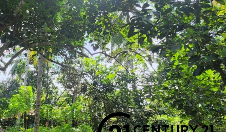 Tanah Bisa Untuk Cluster Di Manado Tanah Bisa Untuk Cluster Di Manado