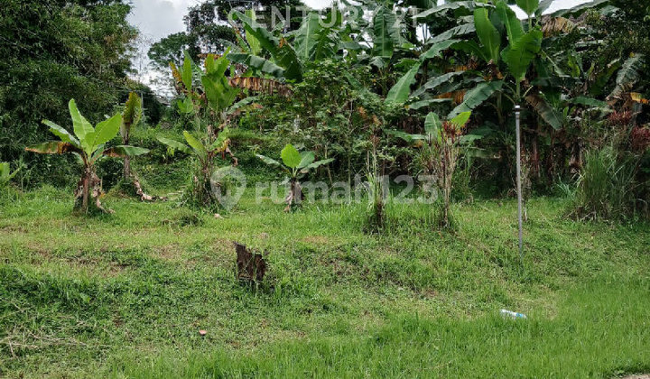 Tanah di Gadog, Puncak, Mega Mendung Cocok untuk Villa Tanah di Gadog, Puncak, Mega Mendung Cocok untuk Villa