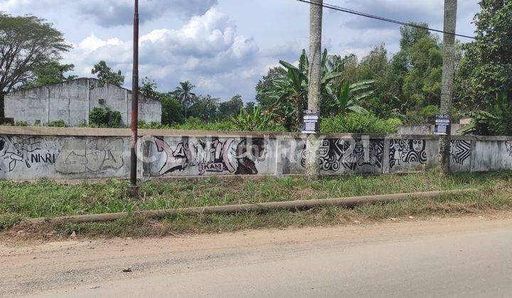 Tanah Pertanian Menuju Palembang 2