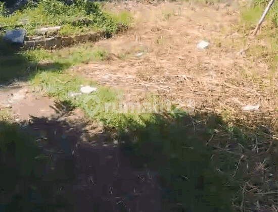 Land in Bojong Gede Suitable for Settlement Business, etc. Land in Bojong Gede Suitable for Settlement Business, etc.