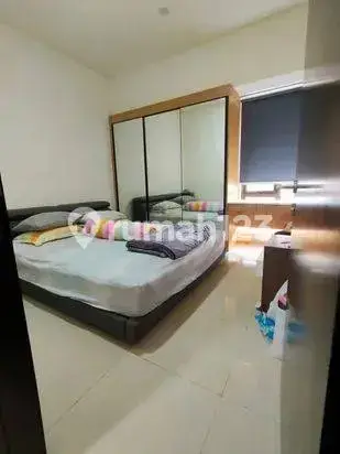 Rumah 1 Lantai Furnished di Cluster Padmagriya Podomoro Park Bandung 2