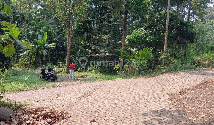 Tanah Kebun Durian SHM 1300m² akses jalan mobil 2