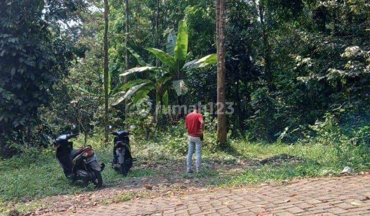 Tanah Kebun Durian SHM 1300m² akses jalan mobil 1