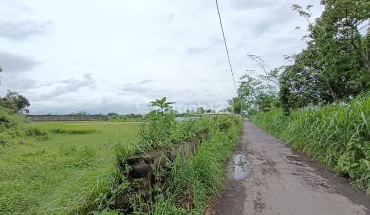 Tanah Murah Sleman, di Kalitirto, Dekat Lava Bantal Berbah 2