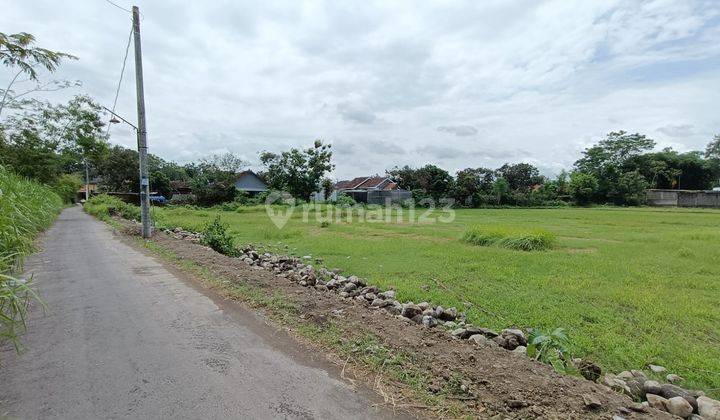 Dekat Lapangan Kadisono Berbah, Jual Tanah Jogja Timur 1