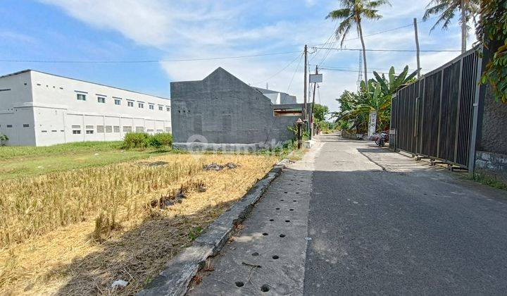 Tanah Jogja Dijual Dekat Cebongan, Jalan Purbaya 1