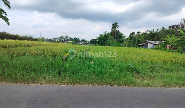 Dijual Tanah SHM Kaliurang Jogja, Luas 1427 M2 1