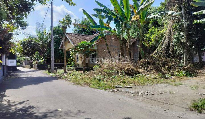 Tanah Jogja di Belakang Lapangan Sanggrahan Tirtoadi 2