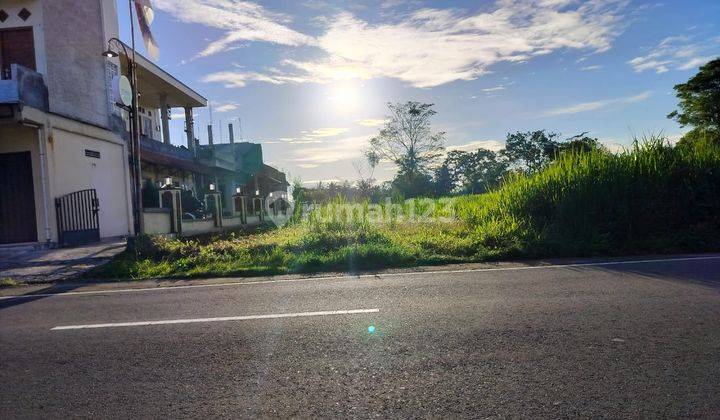 Dijual Tanah Sleman, Tepi Jalan Raya Pandowoharjo 1