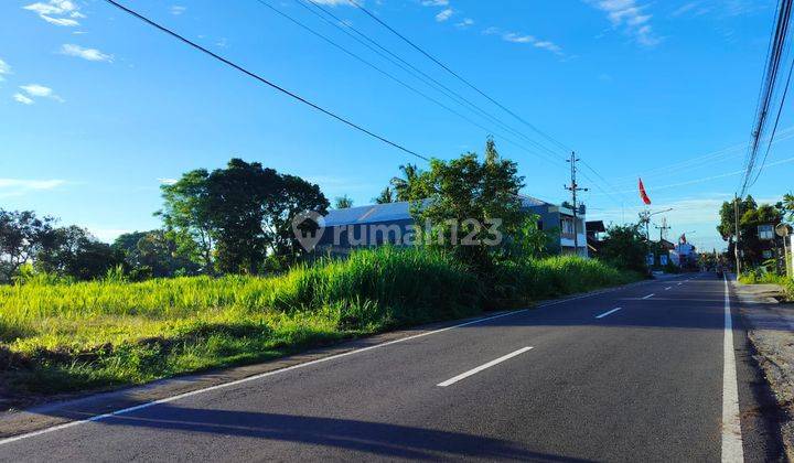 Dijual Tanah Sleman, Tepi Jalan Raya Pandowoharjo 2