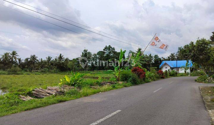 Dijual Tanah Sleman Mangku Jalan Raya Pandowoharjo 2