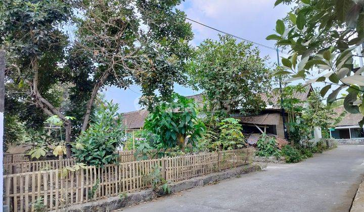 Dijual Tanah Kosong Dekat Tengkleng Gajah Kaliurang Jogja 2