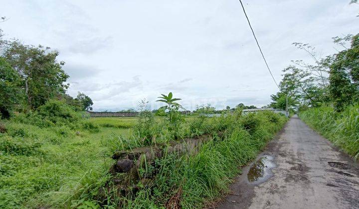 Tanah Jogja di Timur Blok O Ringroad Timur 2