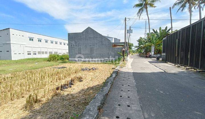 Tanah Dijual Jogja Lokasi Cebongan, Luas 120 M2 2