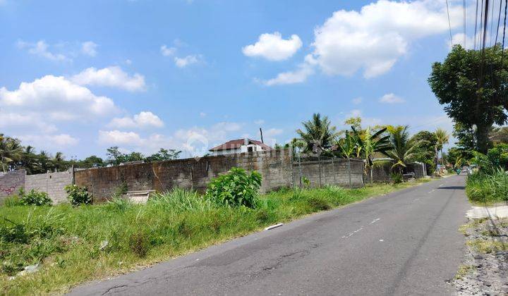 Jual Tanah Jogja Tepi Aspal, Luas 299 M2 1