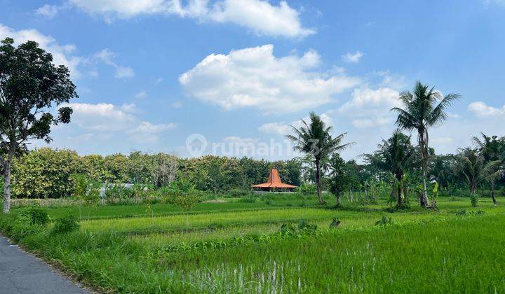  Tanah Pandanaran, Dekat Jalan Raya Degolan, Murah  1