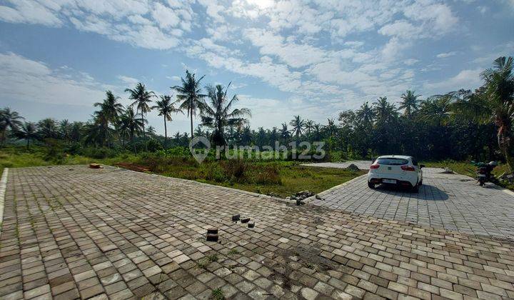  View Sawah, Tanah Dekat Kampus Uny Wates Yogyakarta 2