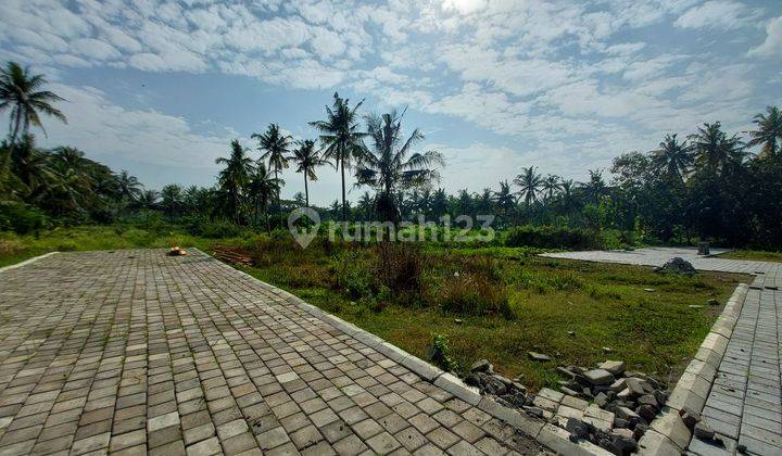  View Sawah, Tanah Dekat Bandara Yia, Murah  2