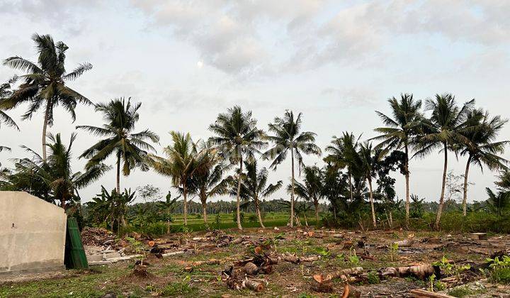 Jual Tanah dengan View Sawah, SHM Pekarangan 1