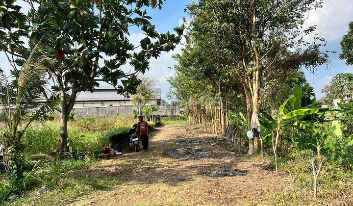 100 Meter Warung Watoe Gadjah, Tanah Shm Pekarangan 1