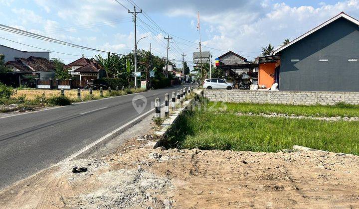 Dekat Banyak Kampus, Tanah Jogja 3 Juta An 1