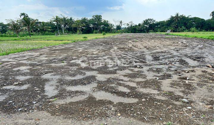 Barat Kampus Uii Tanah Murah Jogja Shm Pekarangan Akad Notaris 2