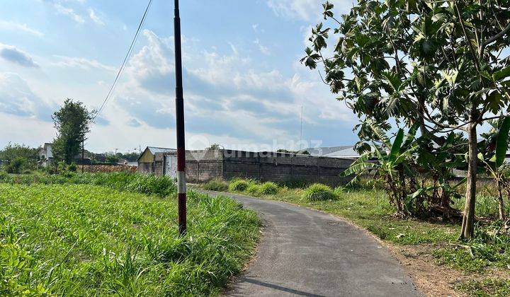 100 Meter Warung Watoe Gadjah, Tanah Shm Pekarangan 2