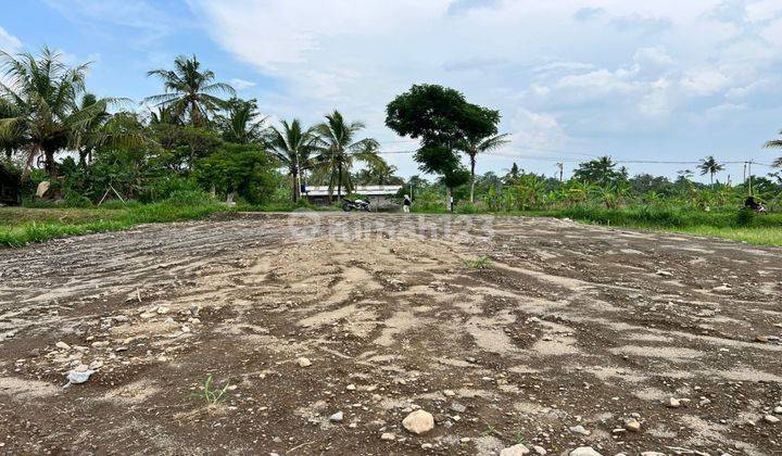 Barat Kampus Uii Tanah Murah Jogja Shm Pekarangan Akad Notaris 1